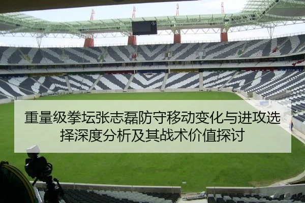 重量级拳坛张志磊防守移动变化与进攻选择深度分析及其战术价值探讨