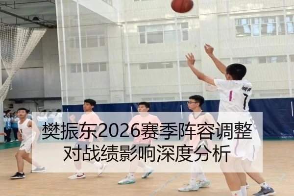 樊振东2026赛季阵容调整对战绩影响深度分析